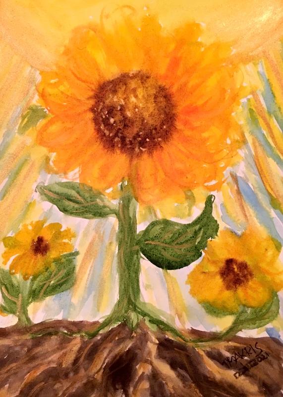 Solstice Sunflower